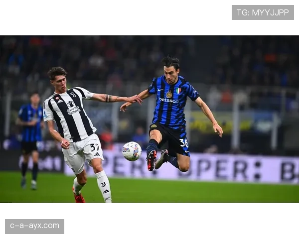 伊尔迪兹表现持续攀升，五大关键指标揭示其引领未来市场潜力