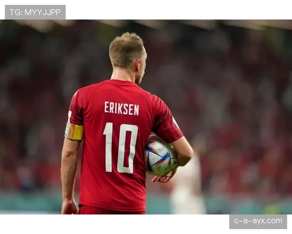 埃里克森比赛稳定性