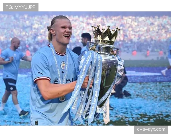 哈兰德数据含金量：效率与体系依赖如何体现