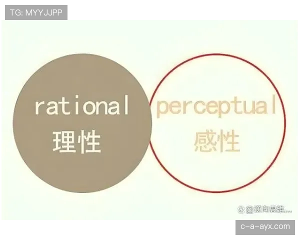 卡马文加位置角色与组织贡献的辩证分析